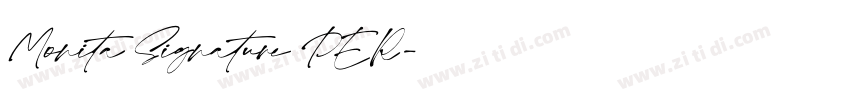 Monita Signature PER字体转换